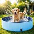Piscine Pliable pour Chien & Chat — Baignade Estivale Sans Montage
