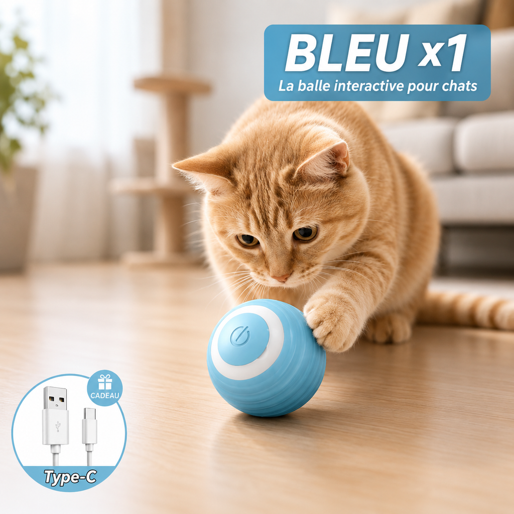 Balle interactive LED pour chien et chat - rechargeable USB