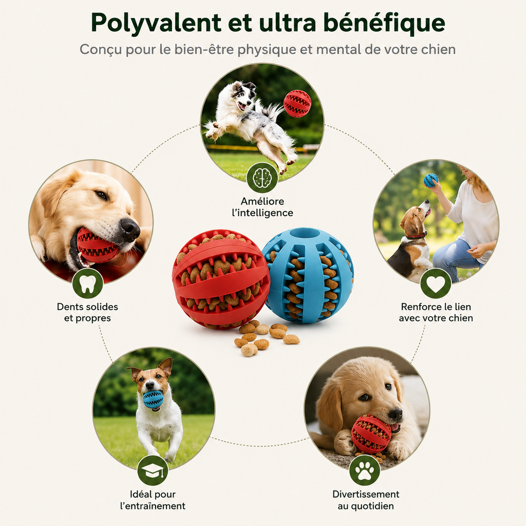 Balle distributrice de friandises pour chien
