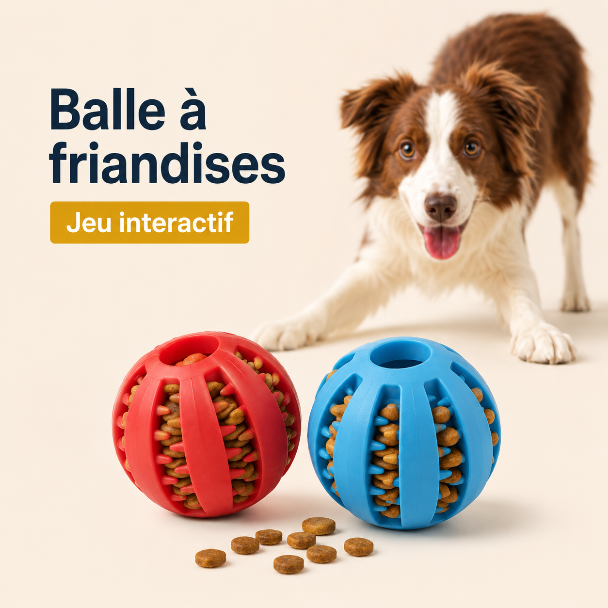 Balle distributrice de friandises pour chien