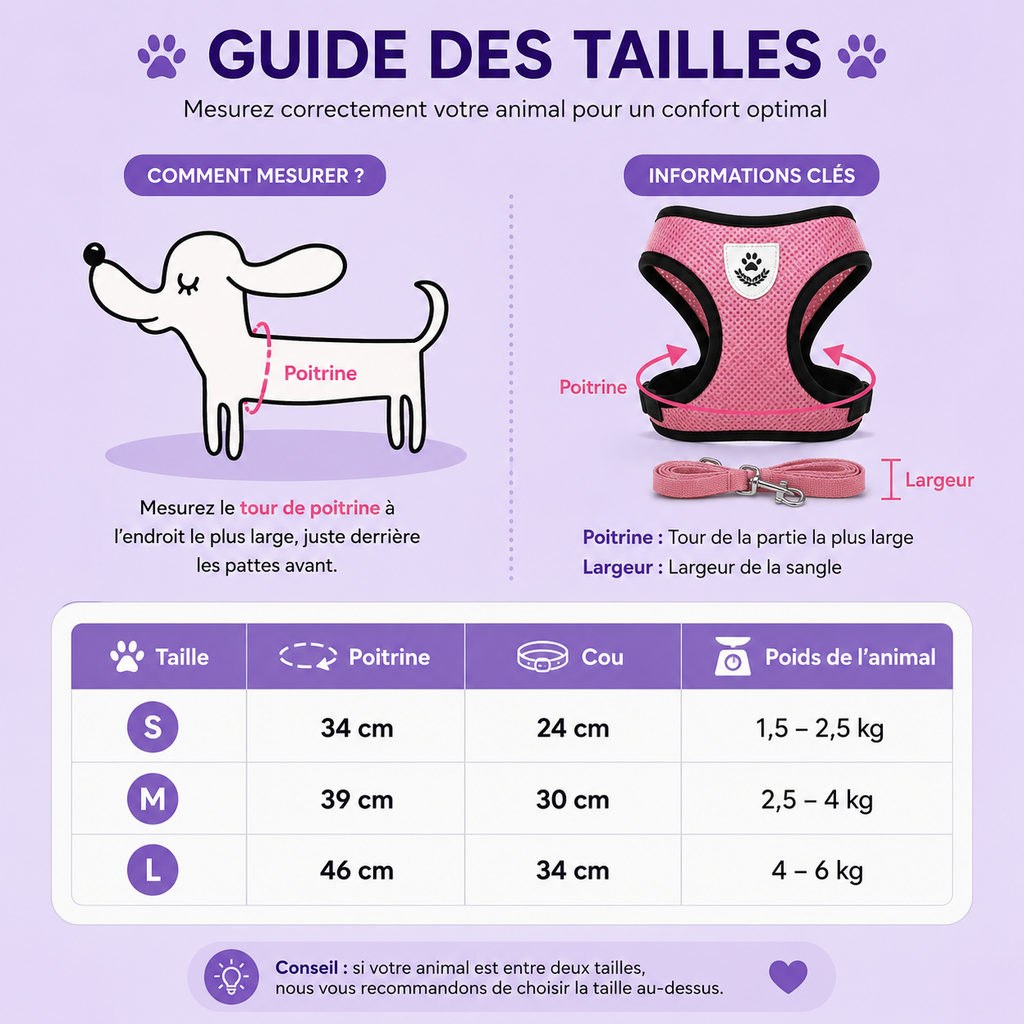 Harnais Gilet Réglable pour Chat & Chien — Maille Respirante, Anti-Échappement
