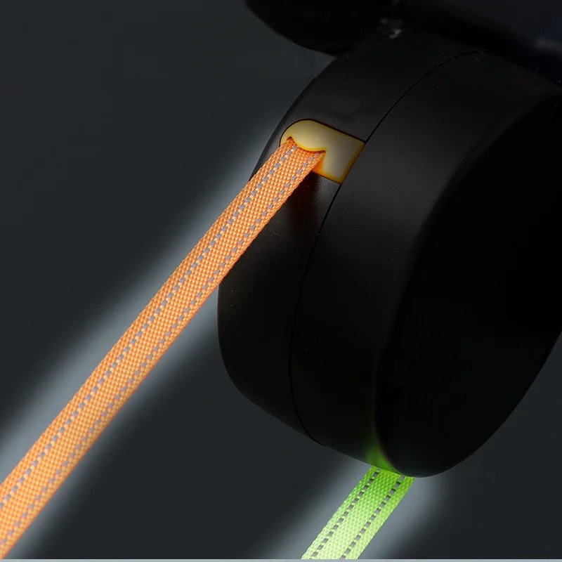 Laisse Double Rétractable pour Chien avec LED — Anti-Emmêlement 360°