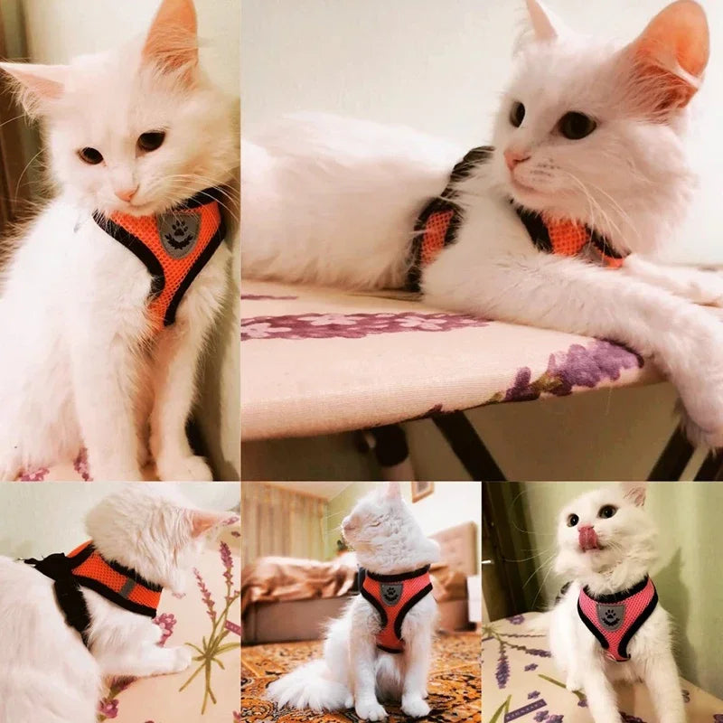 Harnais Gilet Réglable pour Chat & Chien — Maille Respirante, Anti-Échappement