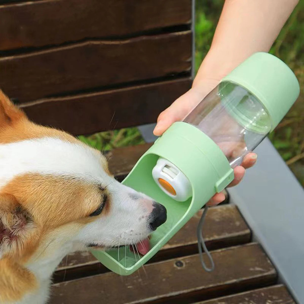 Gourde portable 2-en-1 eau et croquettes pour chien et chat